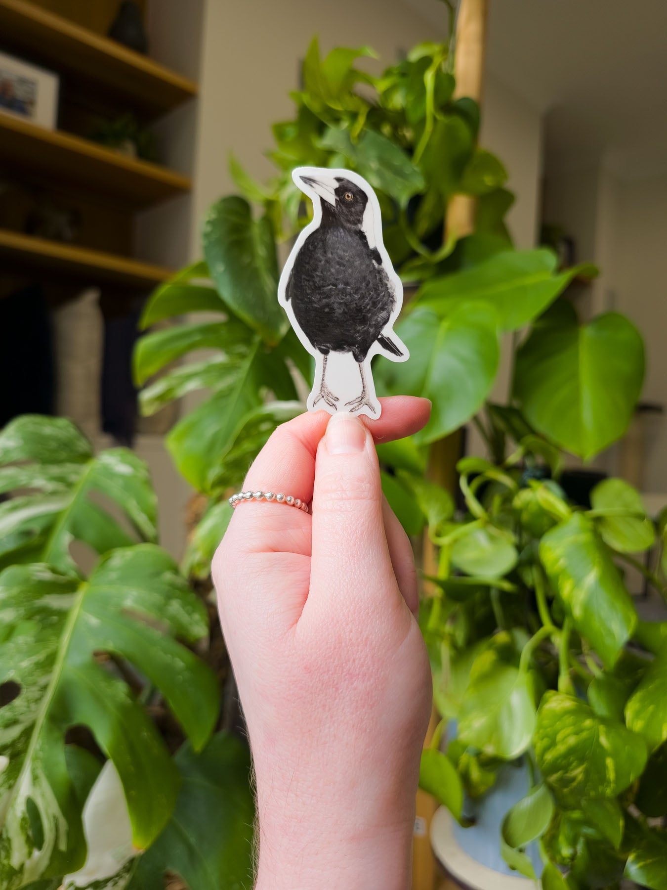 Accessories Wholesale