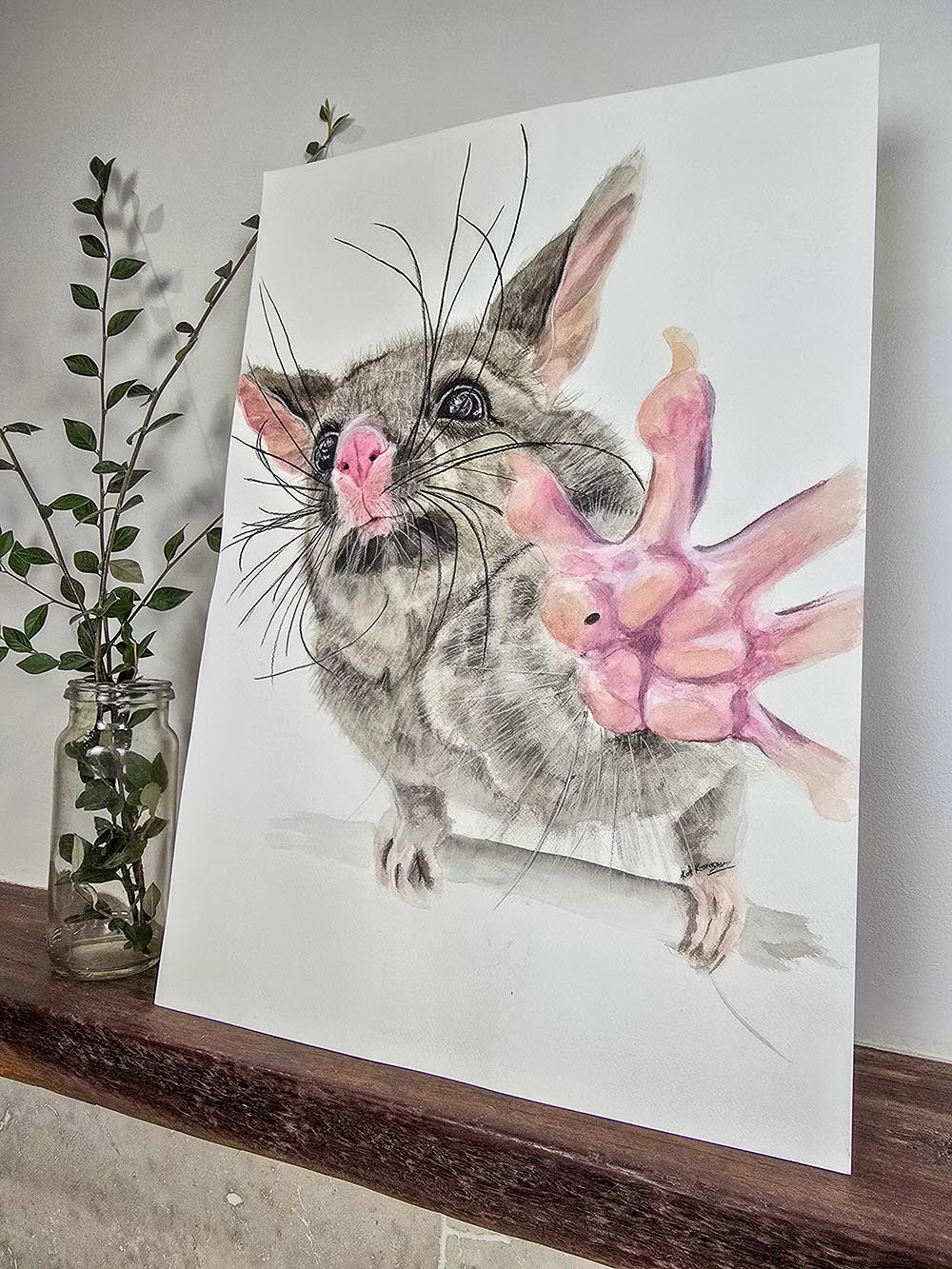 Guaka the brushtail possum