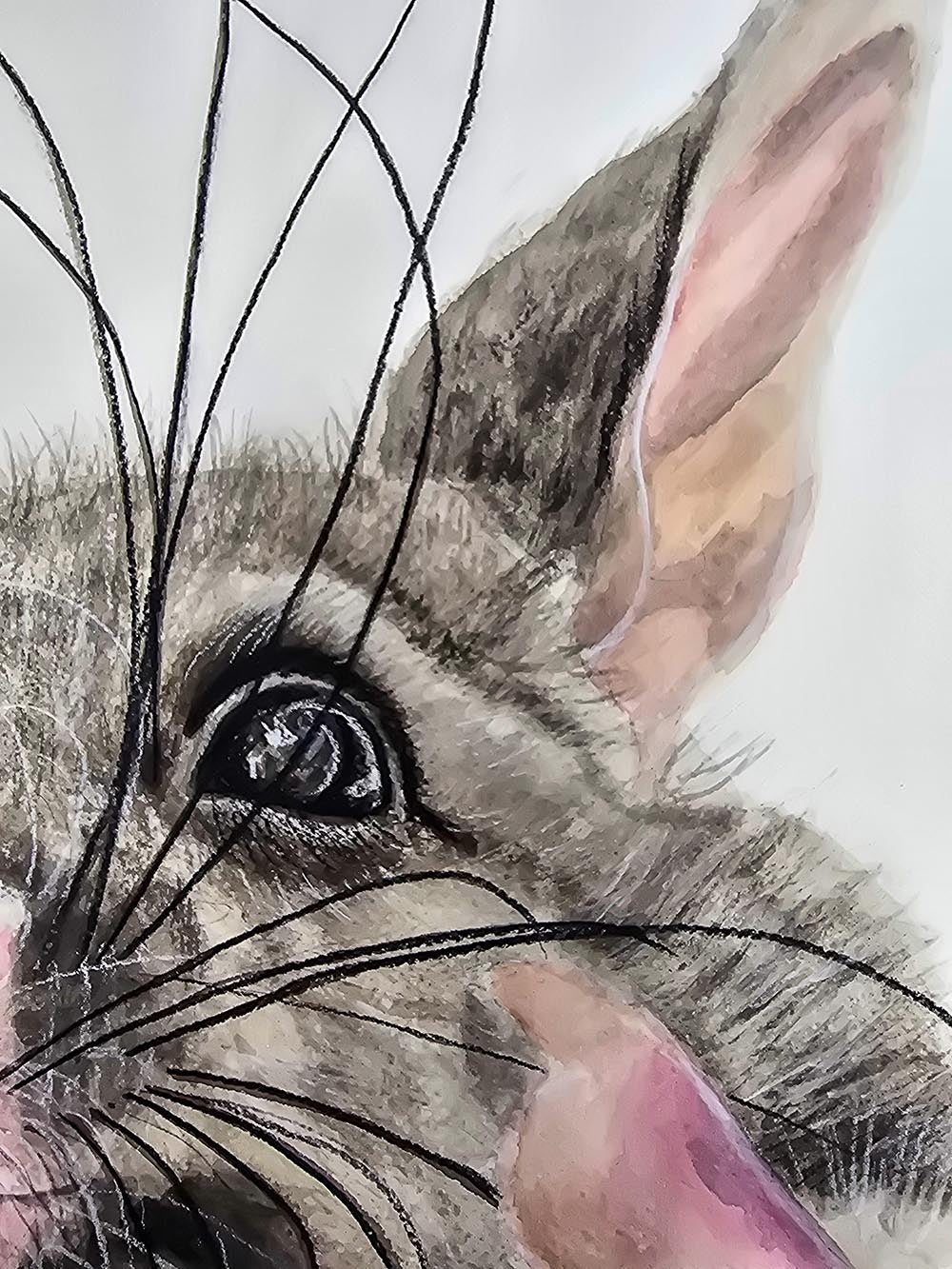 Guaka the brushtail possum