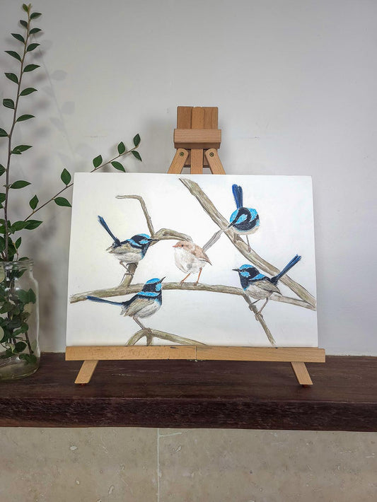A Blue Wren Gathering