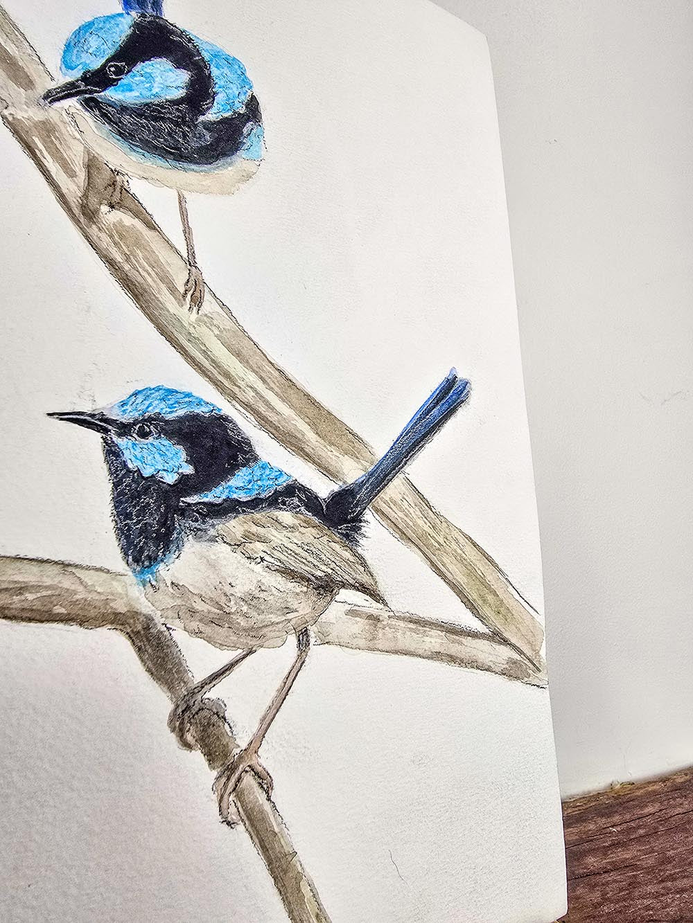 A Blue Wren Gathering