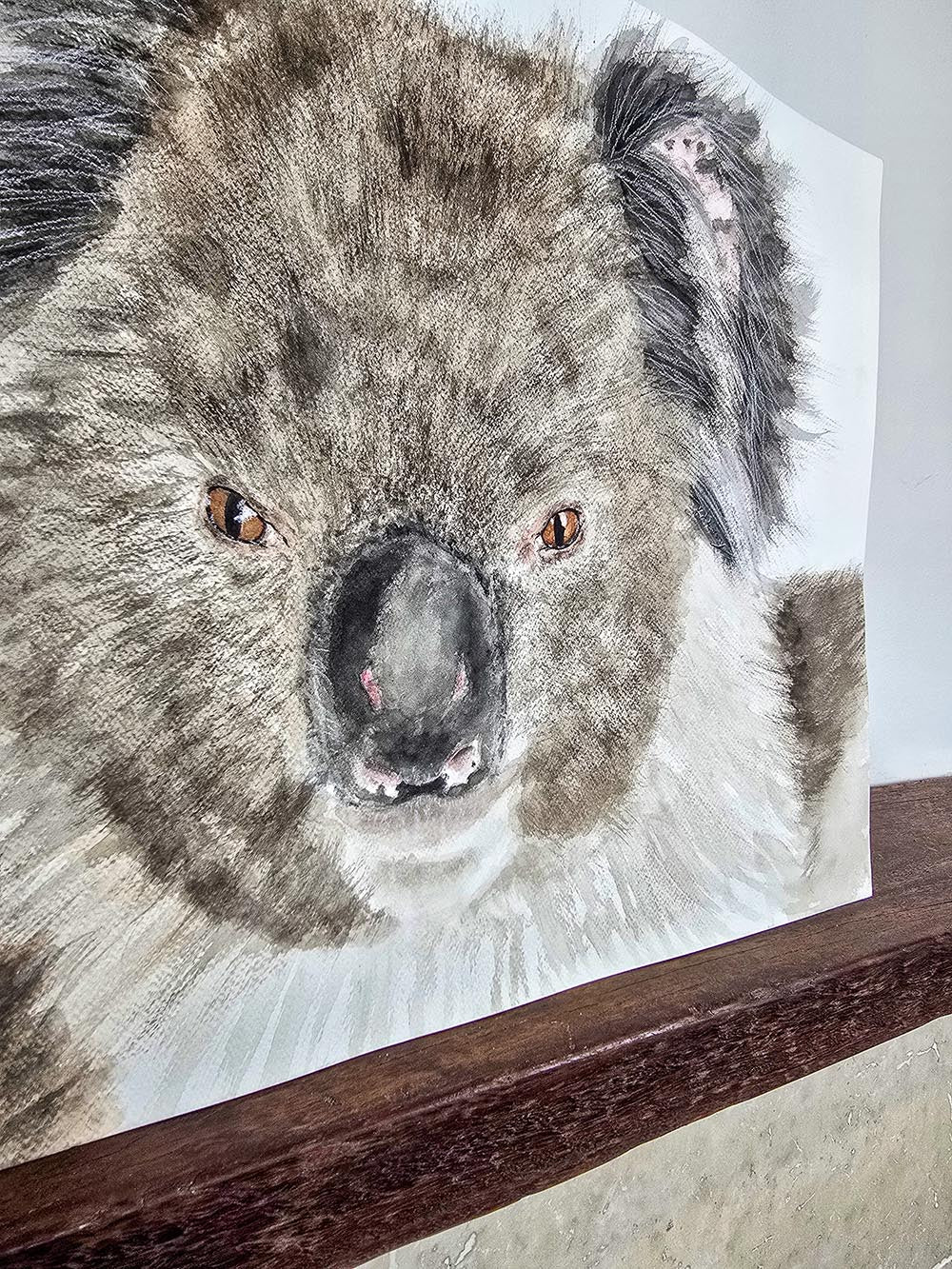 Holly the Koala