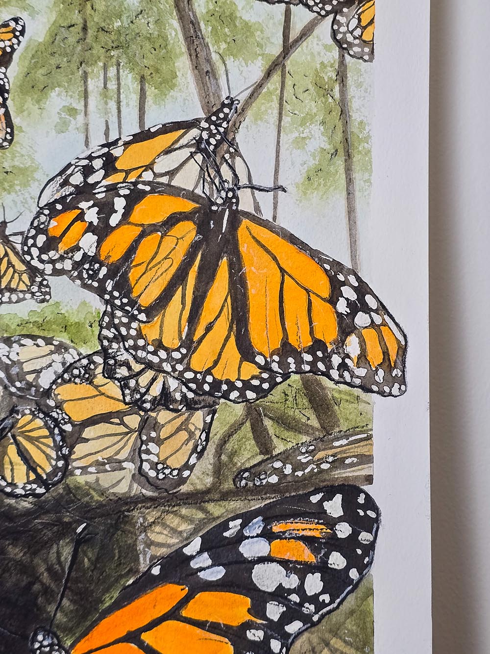 Original Art - Australian insect butterfly - Monarch Butterflies