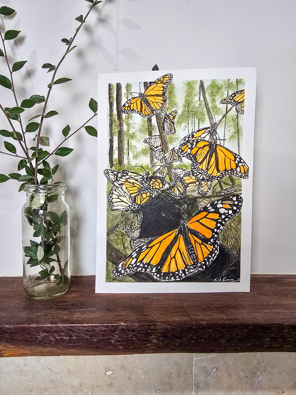 Monarch Butterfies