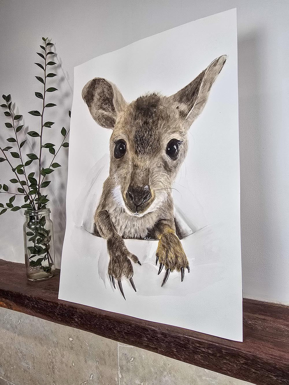 Nugget the Joey