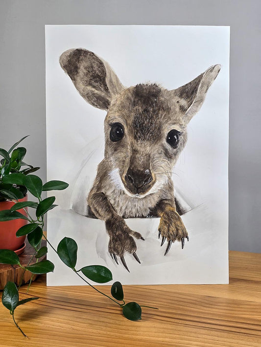 Nugget the Joey
