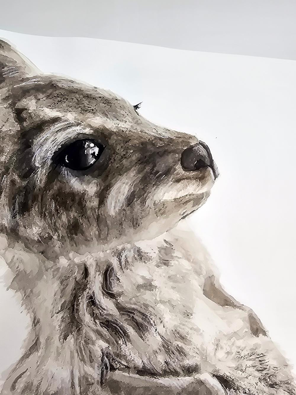 Nugget the Joey Belly Scratches