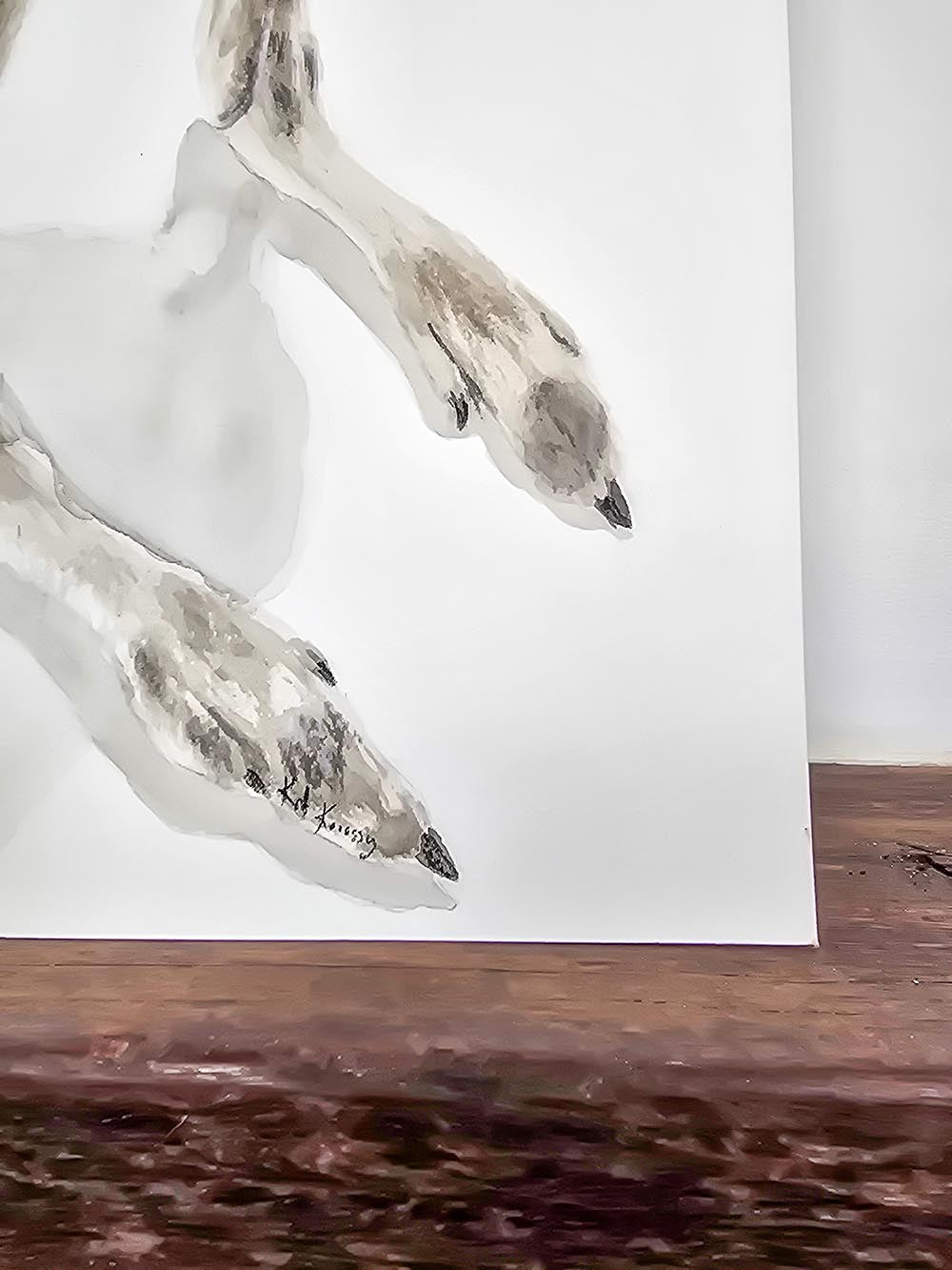 Nugget the Joey Belly Scratches