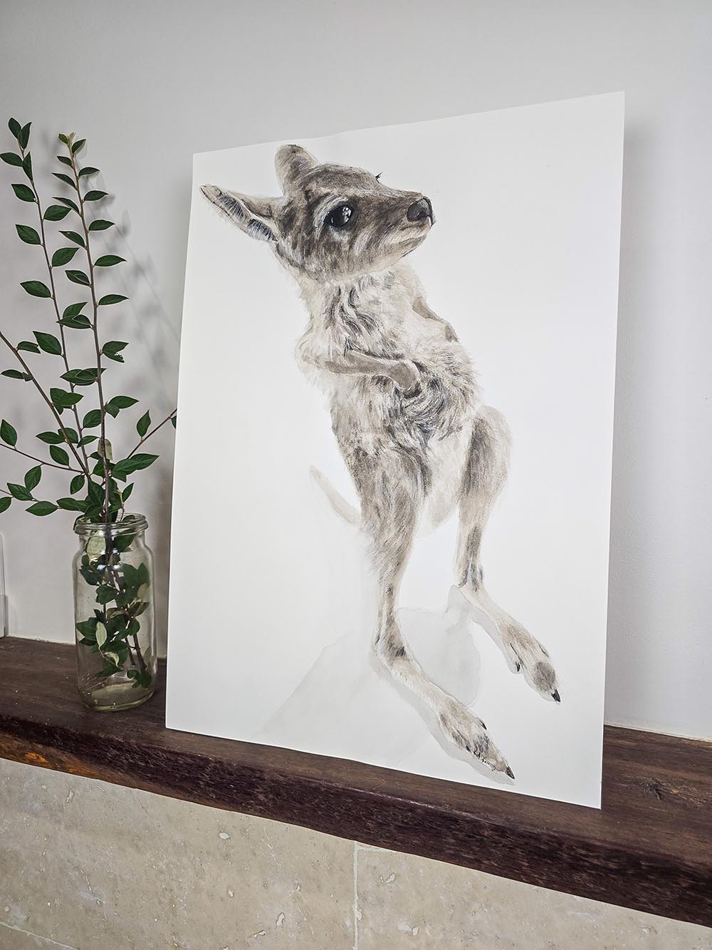 Nugget the Joey Belly Scratches