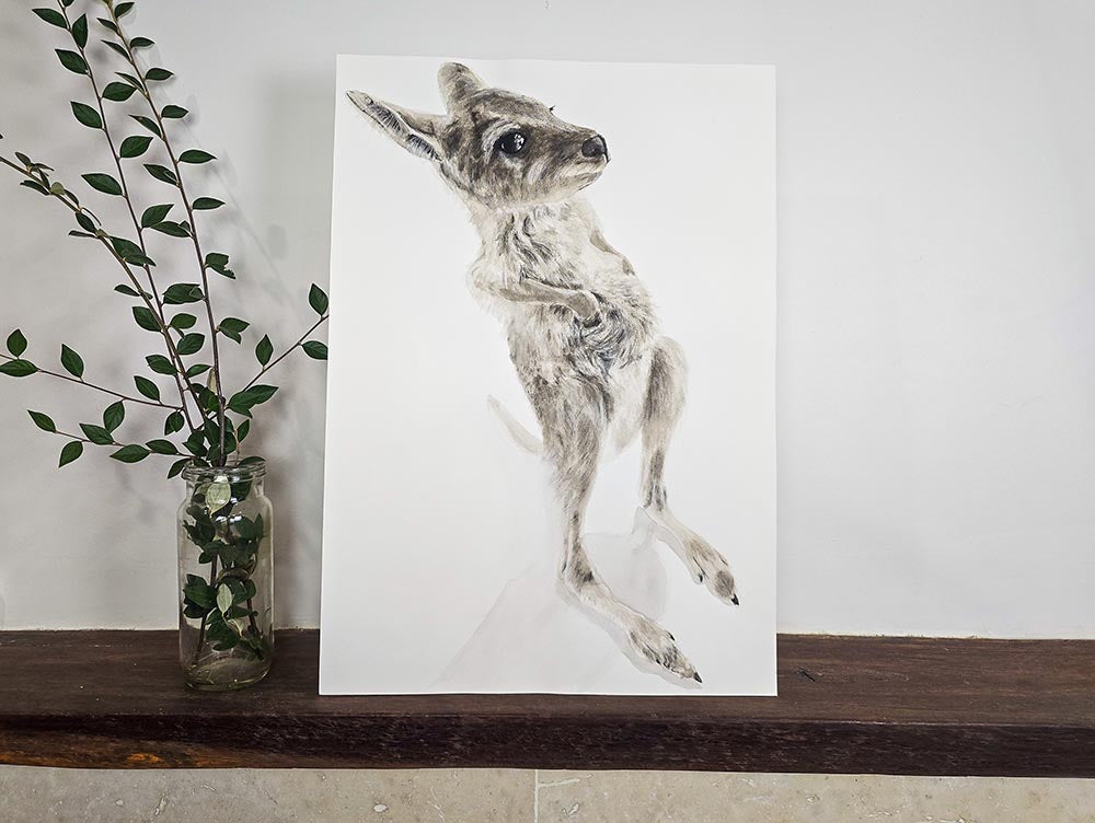 Nugget the Joey Belly Scratches