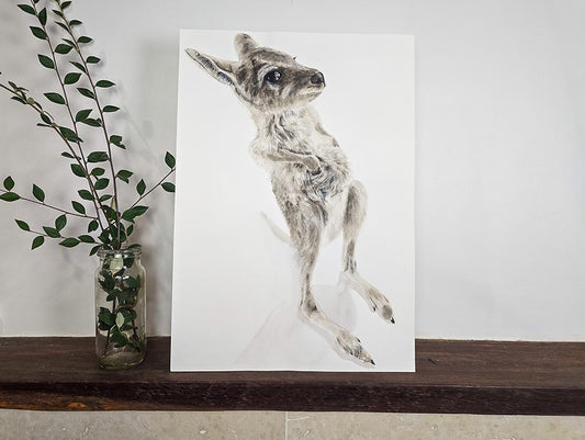 Nugget the Joey Belly Scratches