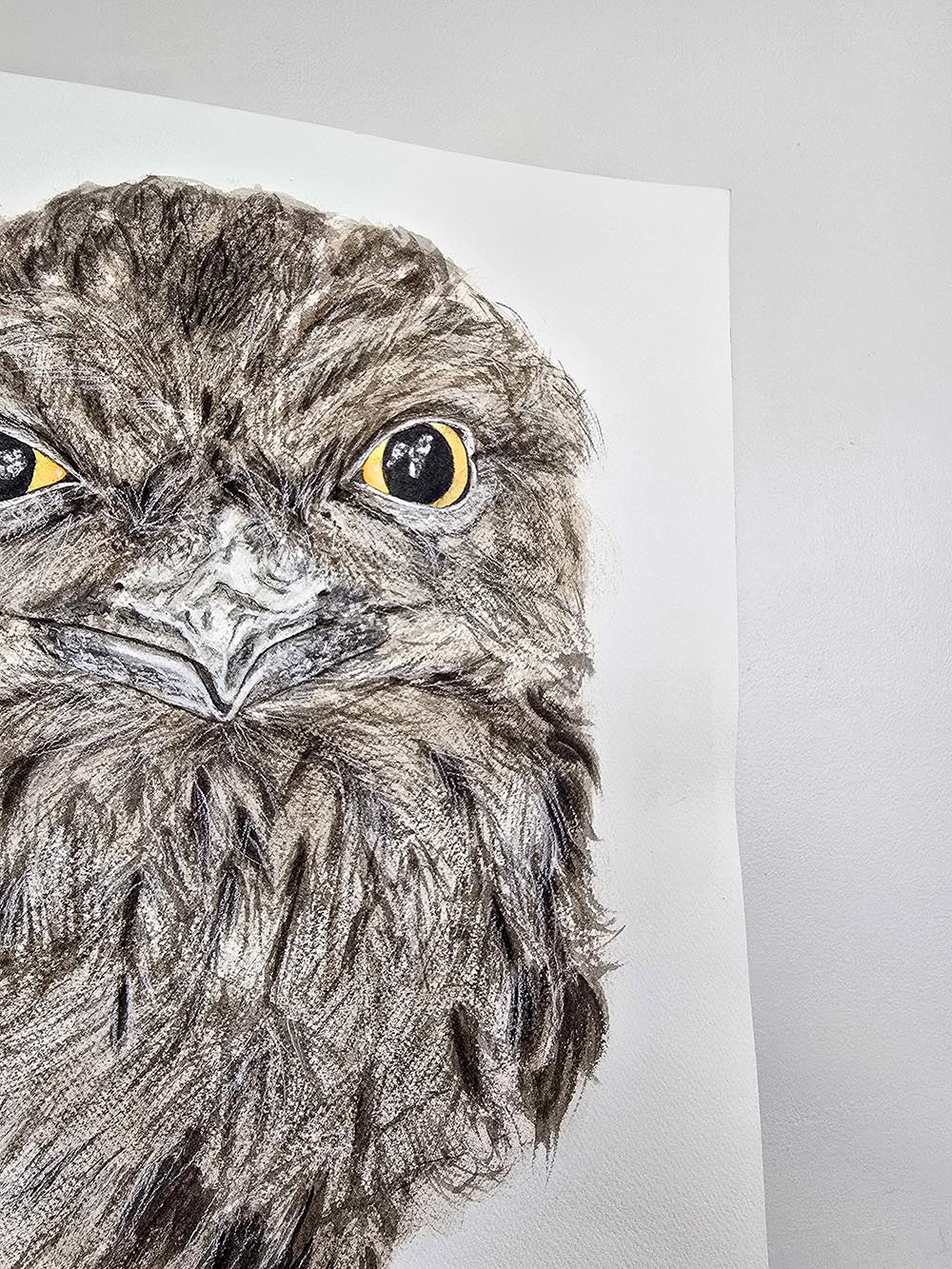 Ewok the tawny frogmouth