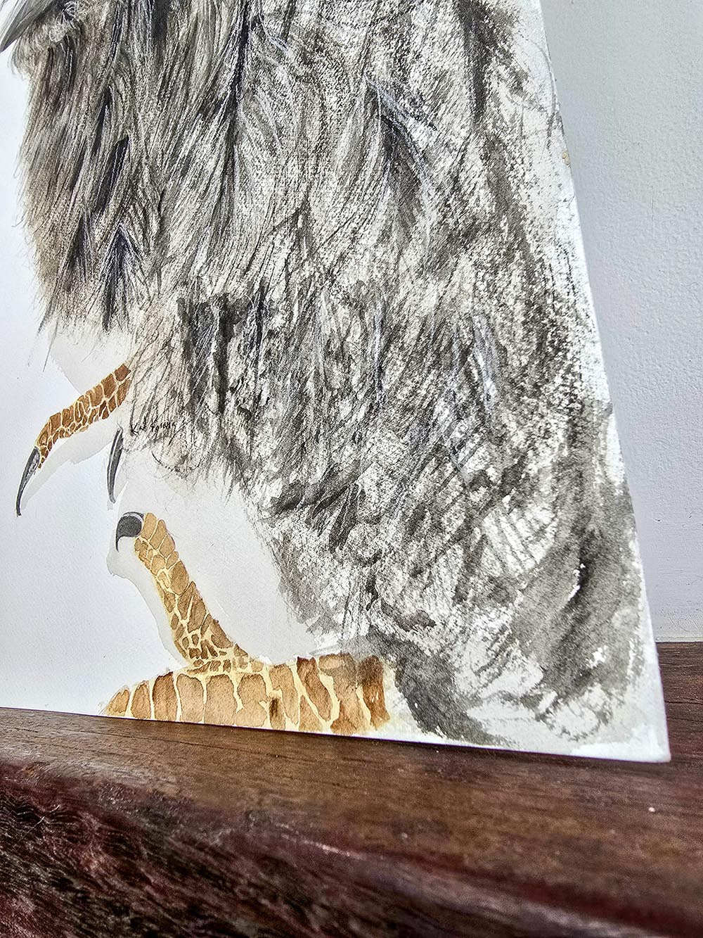 Puffles the Tawny Frogmouth