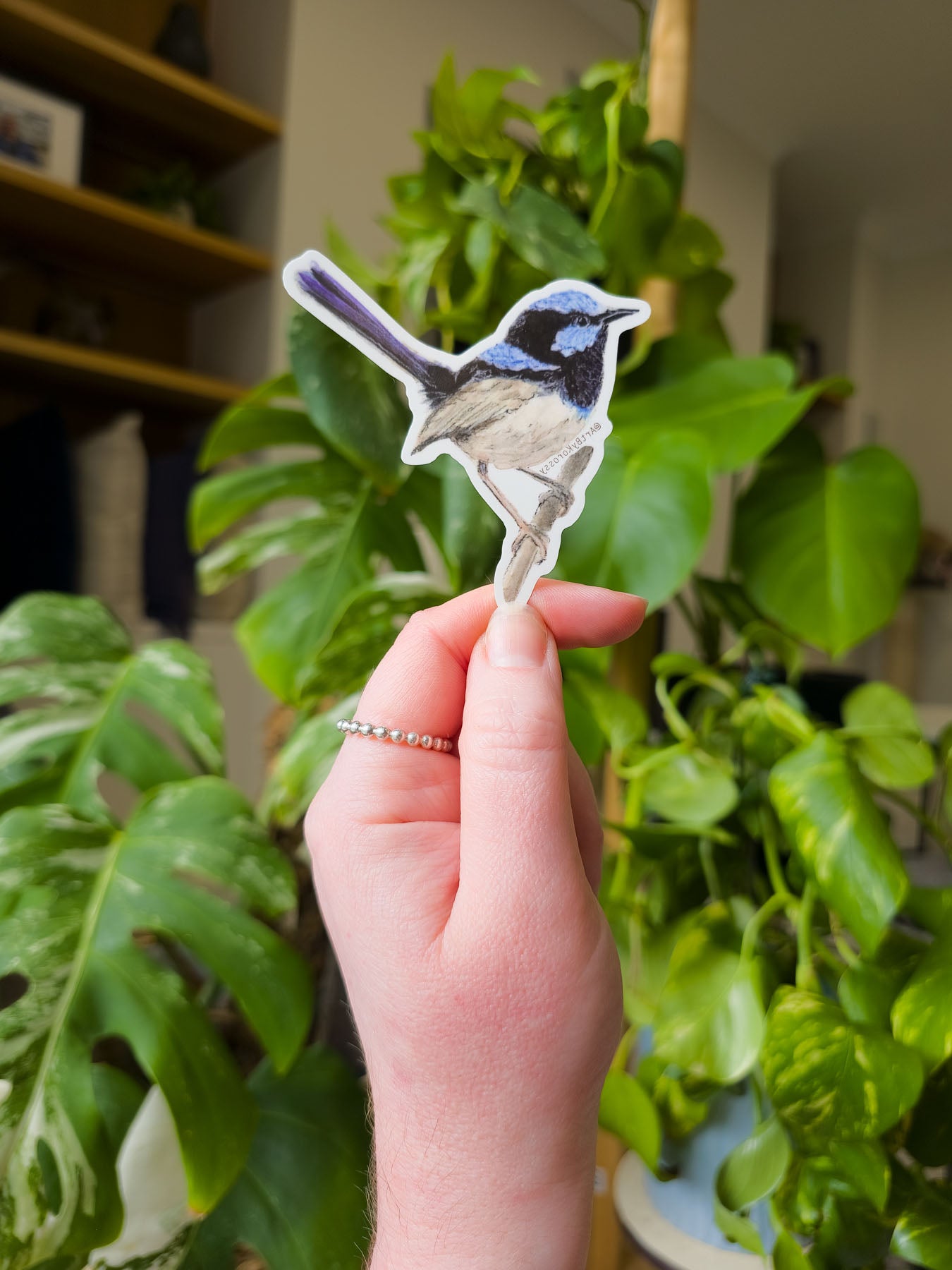 Hand holding a bird temporary tattoo in front of green plants