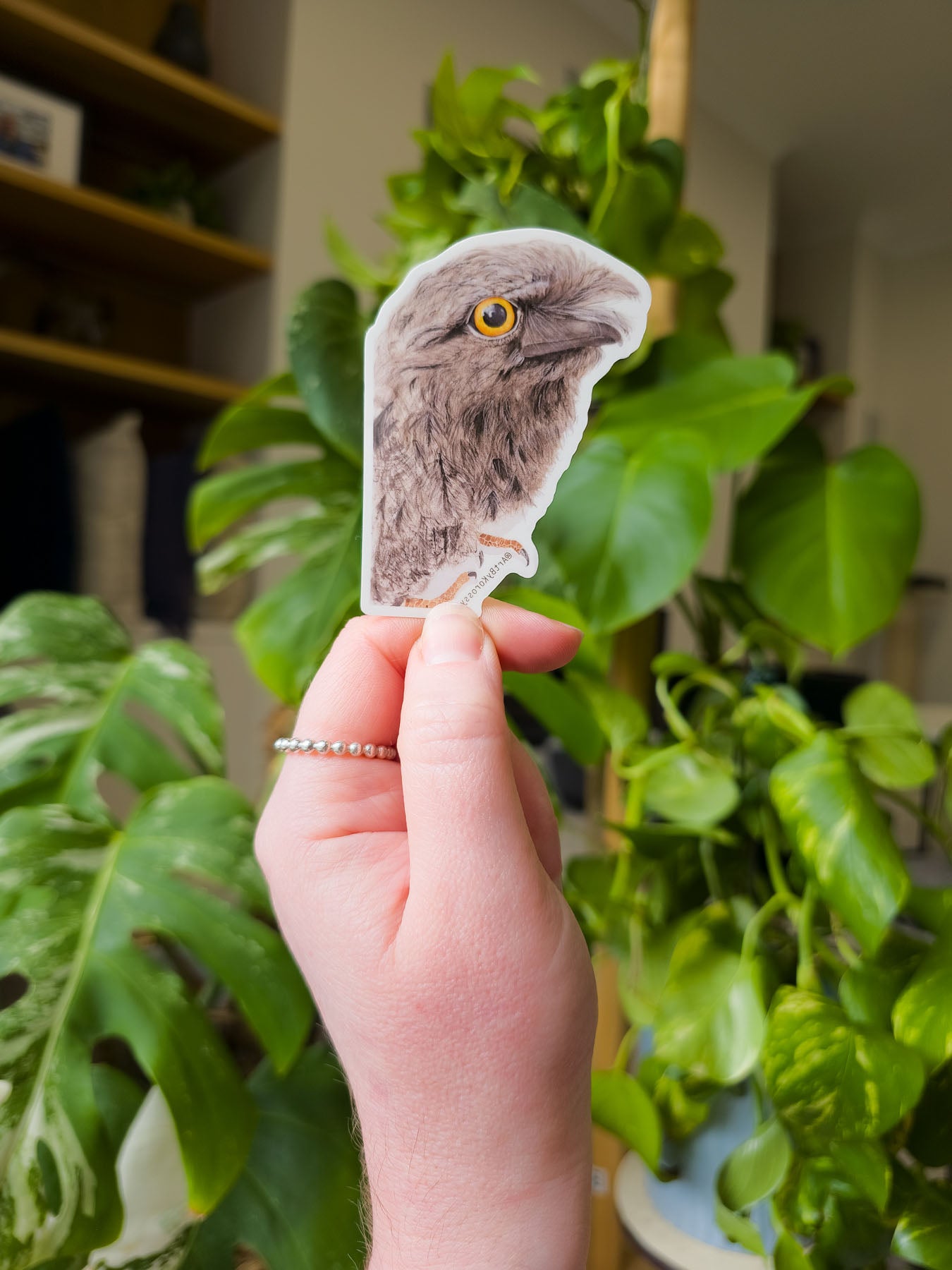 Hand holding a temorary tattoo of a tawny frogmouth with green plants in the background