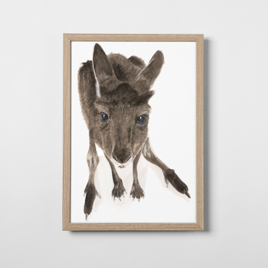 Moppy the Joey