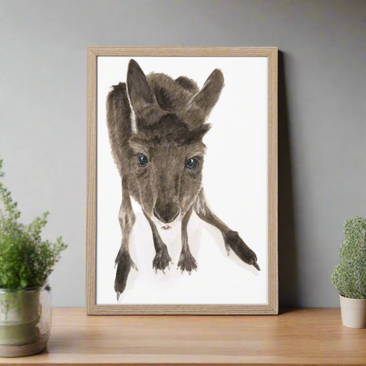 Moppy the Joey