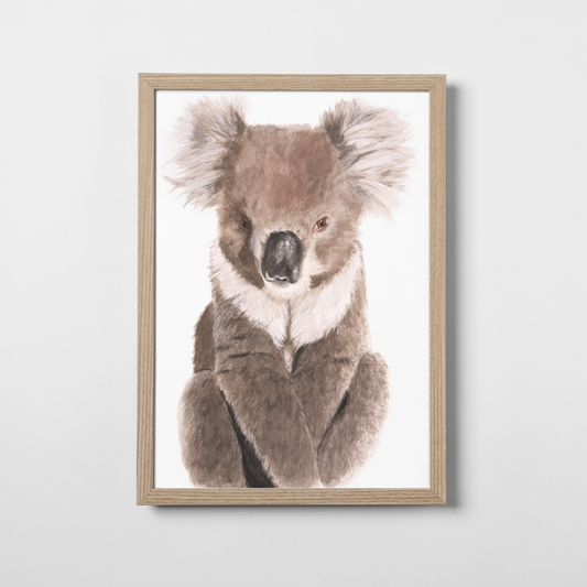 Noah the Koala