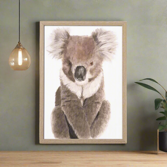Noah the Koala
