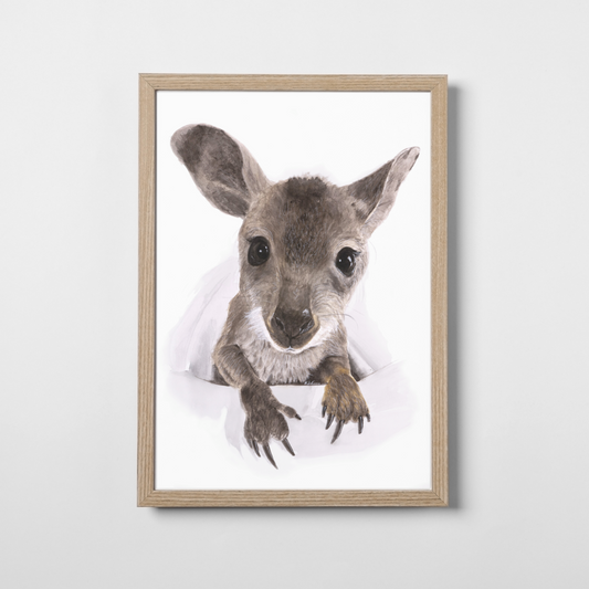Nugget the Joey