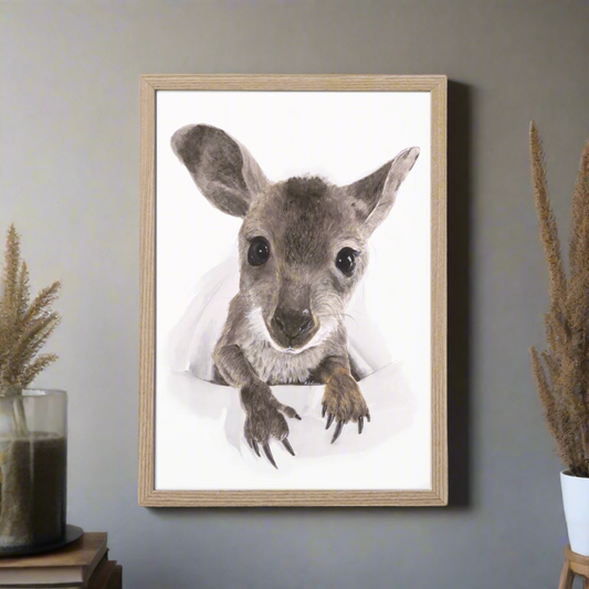 Nugget the Joey