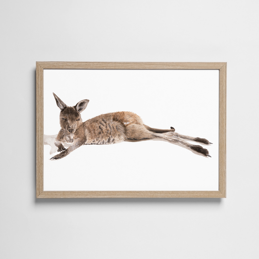 Snug the Kangaroo