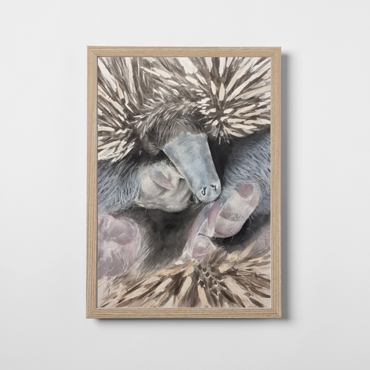Deena The Echidna