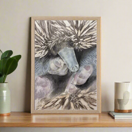 Deena The Echidna