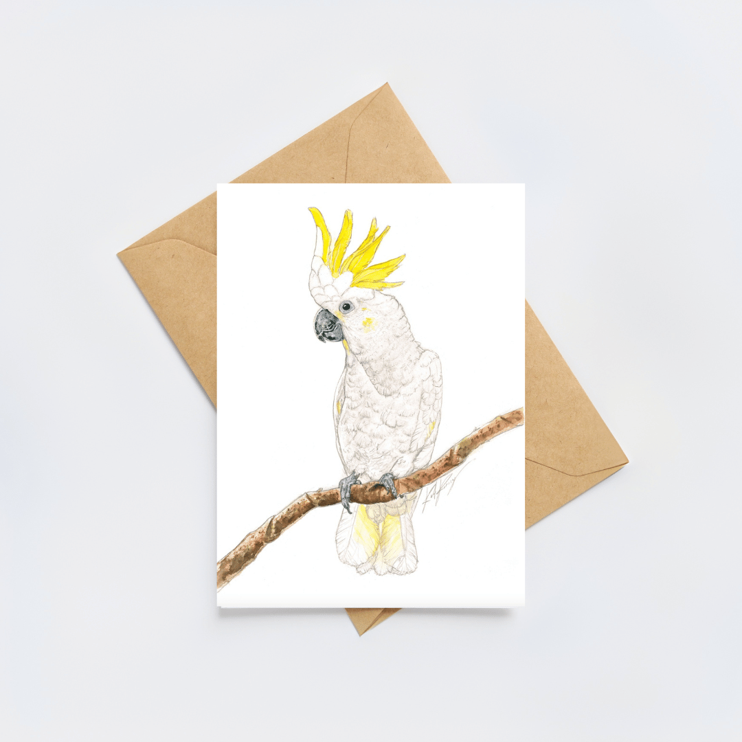 Carl the Cockatoo