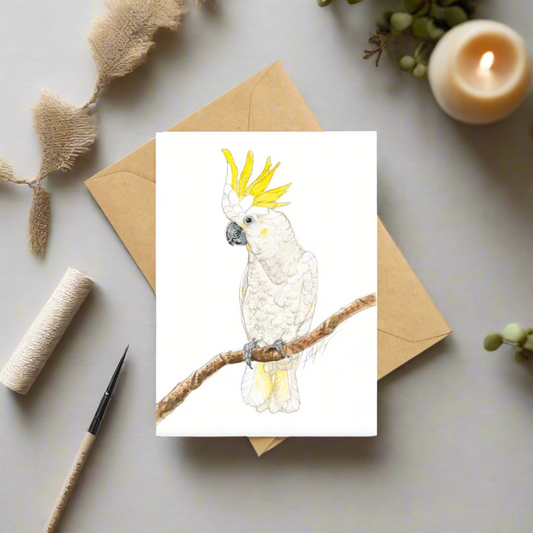 Carl the Cockatoo