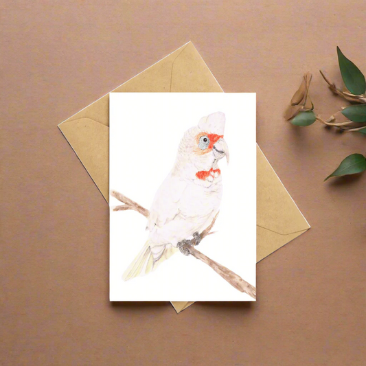 Reggie the Corella