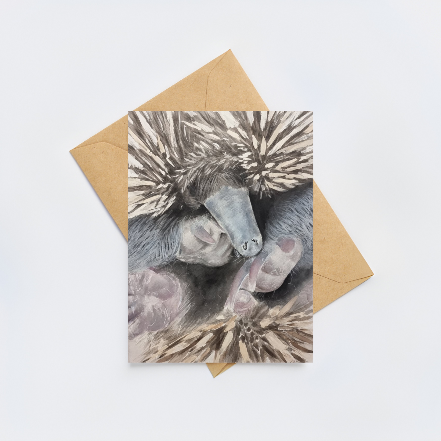 Deena The Echidna
