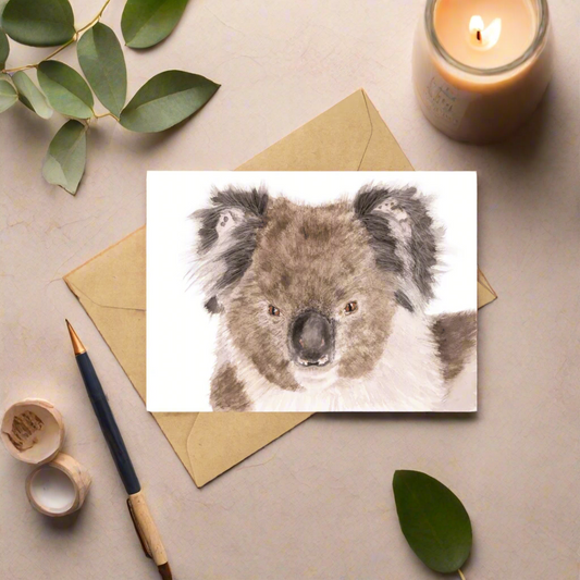 Holly the Koala