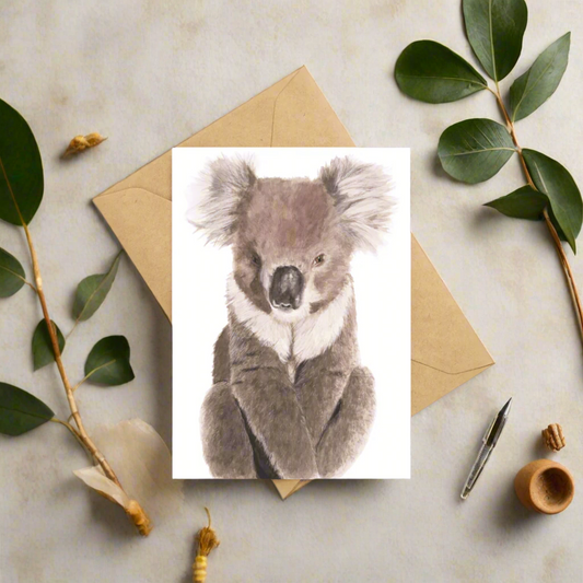 Noah the Koala