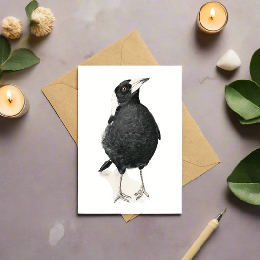 Jackie the magpie