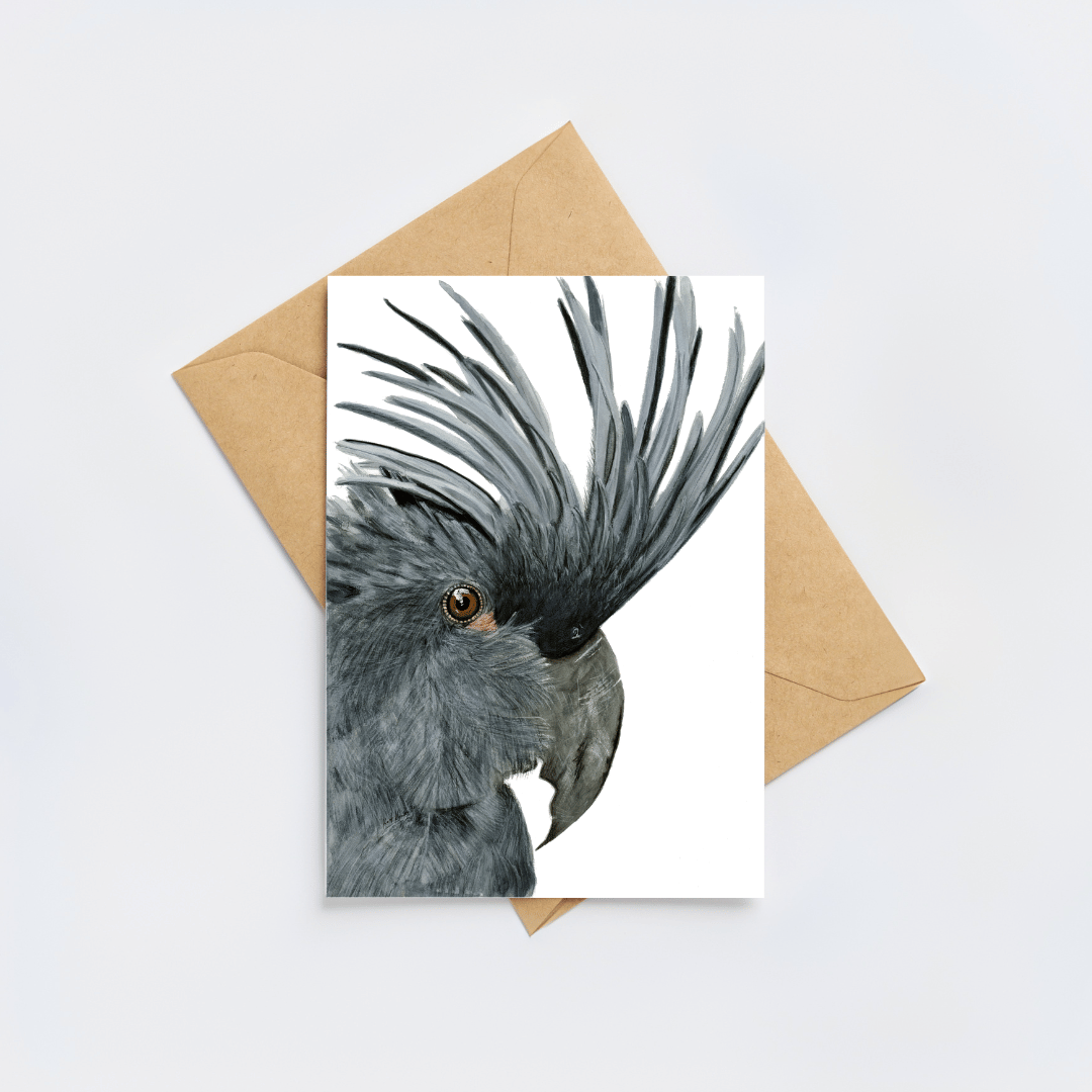 Seisia The Palm Cockatoo