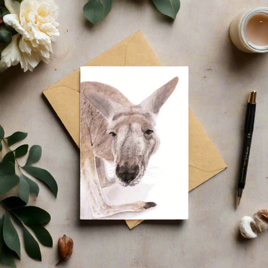 Boof the Kangaroo