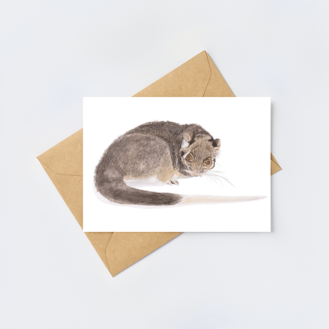 Jake the ringtail possum