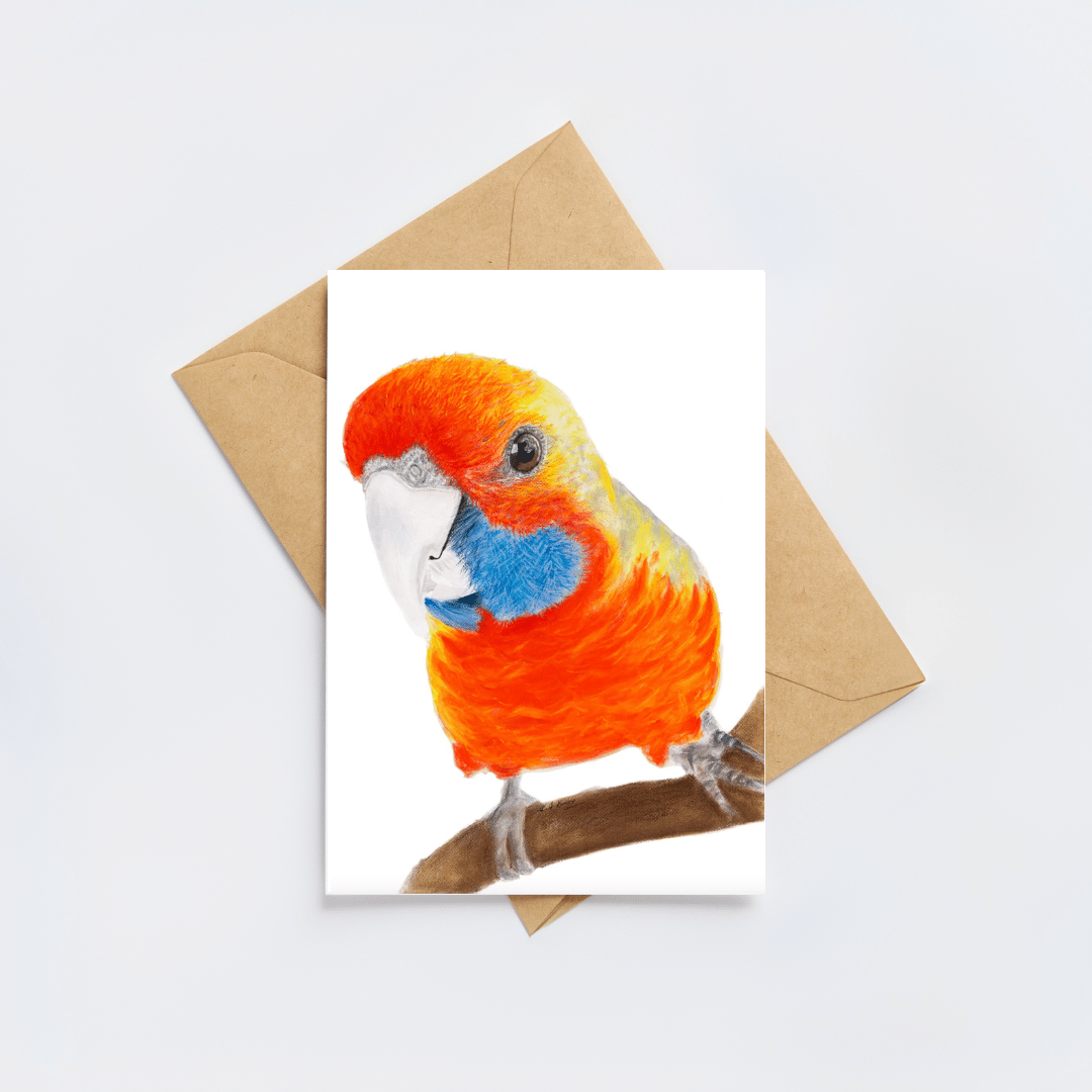 Squirt the rosella