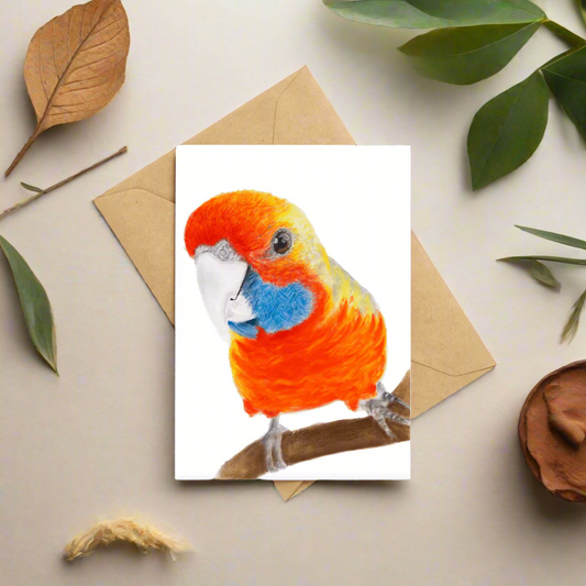 Squirt the rosella