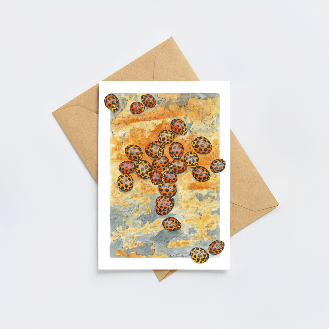 Ladybirds