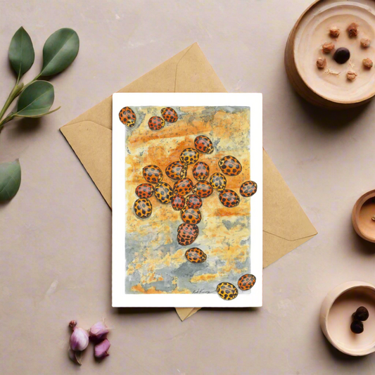 Ladybirds