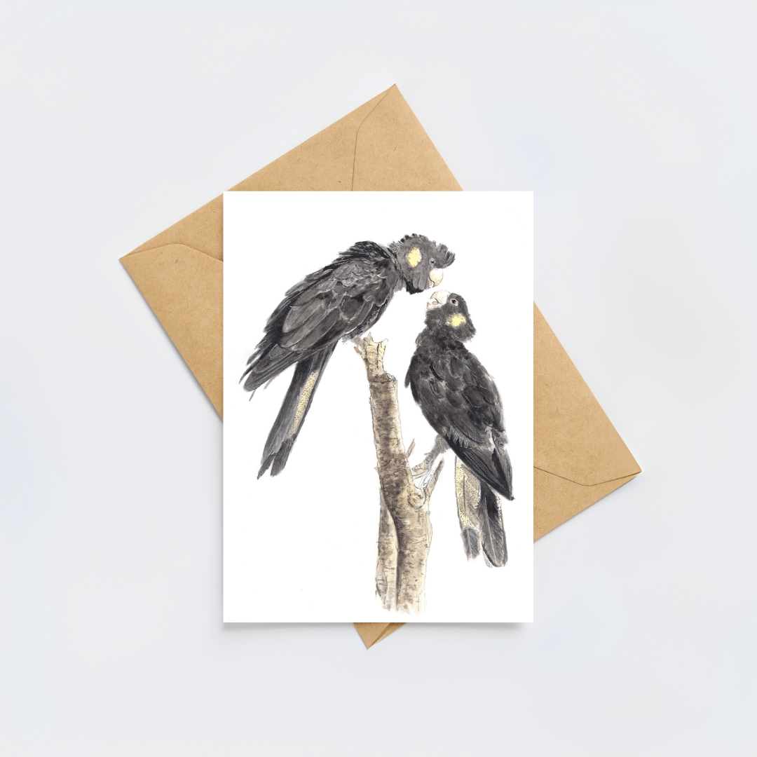 Yellow Tailed Black Cockatoo