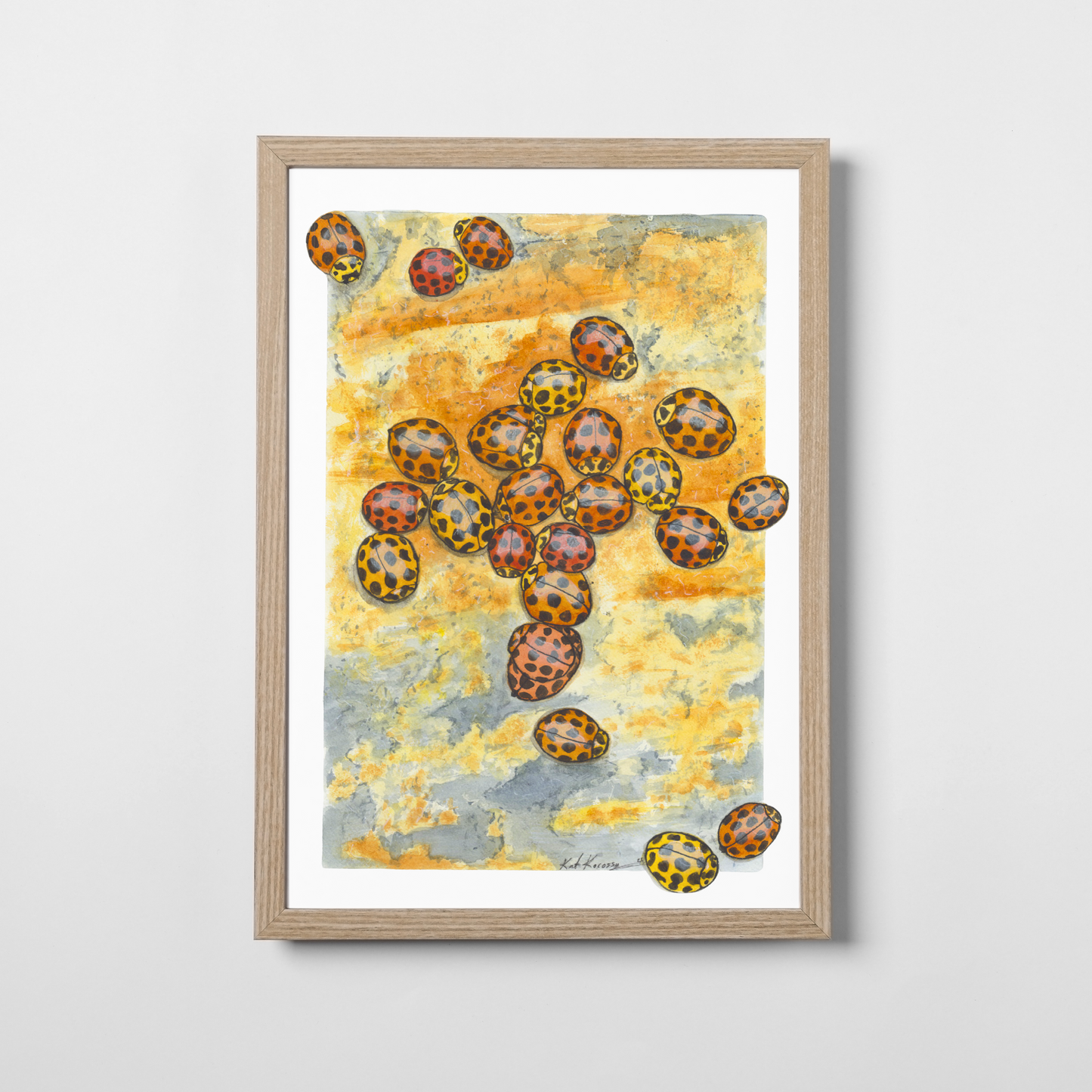 Ladybirds