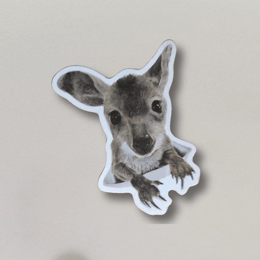 Nugget the Joey