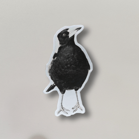 Jackie the Magpie